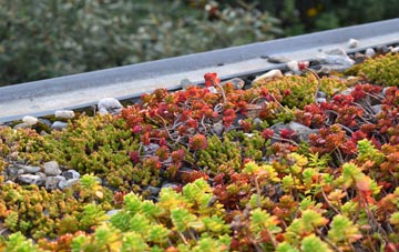 the cost of Achnairn green roof installation