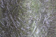 Achnairn fibreglass roof work